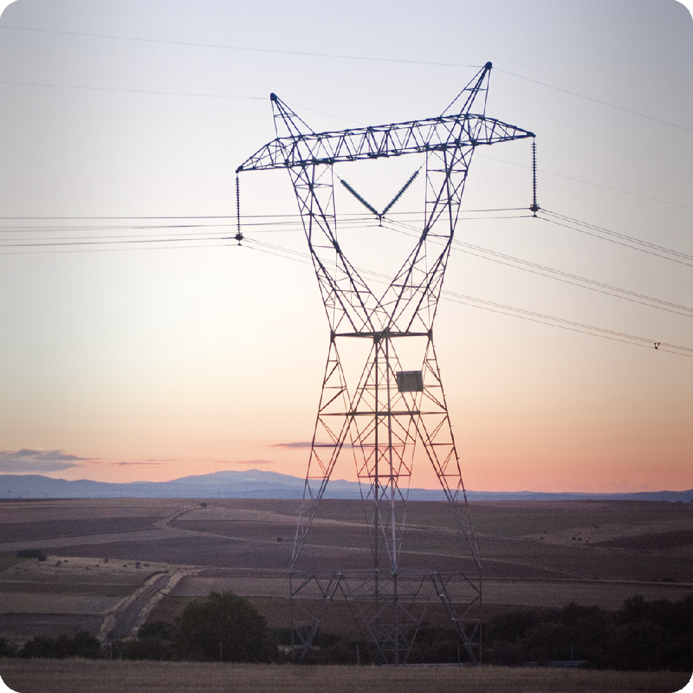 Power Line Inspection